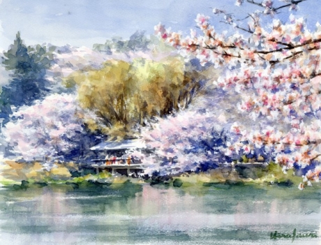 水辺の桜：F6（三ツ池公園）
