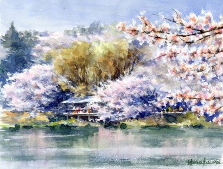 水辺の桜：F6（三ツ池公園）