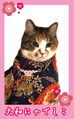 kimono23_ranran.jpg