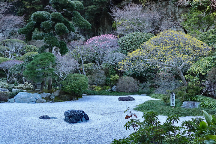 190308_Hokokuji-Rock-Garden.jpg