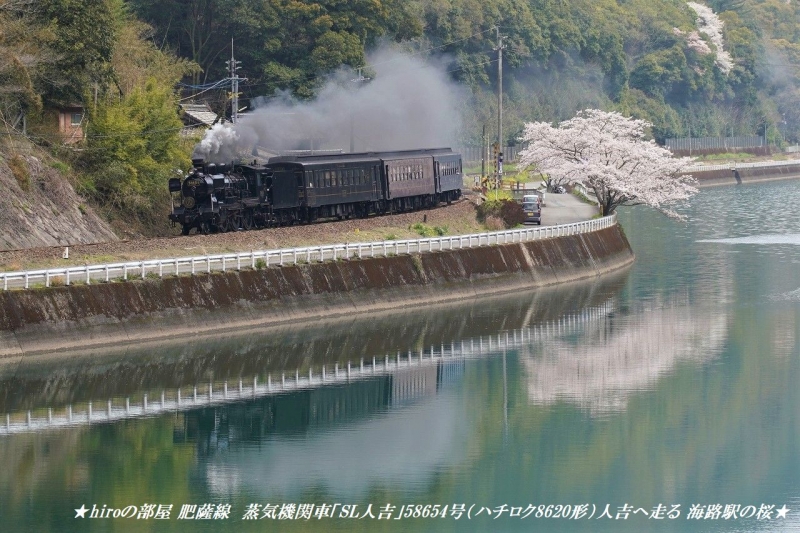 hiroの部屋　肥薩線　蒸気機関車「SL人吉」58654号（ハチロク8620形）人吉へ走る 海路駅の桜