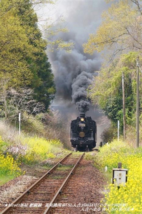 hiroの部屋　肥薩線　蒸気機関車「SL人吉」58654号（ハチロク8620形）人吉へ走る 西人吉の桜