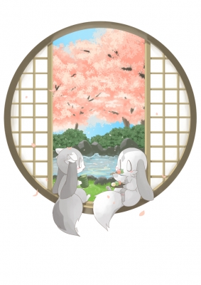 桜の窓