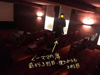 映画館のサイトには30席って書いてあったけれど 実際に数えてみたら29席しかありませんでした。