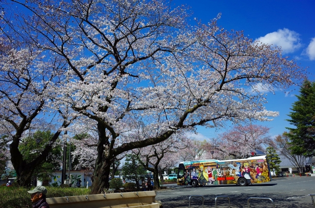 2019-04-03 平成最後の桜散策 068