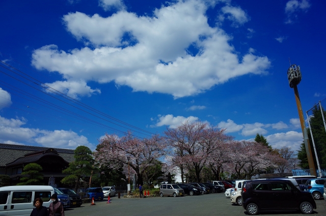 2019-04-03 平成最後の桜散策 082