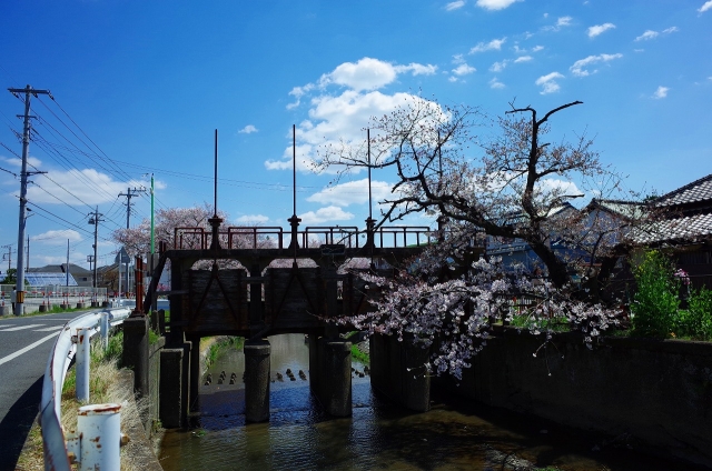 2019-04-03 平成最後の桜散策 125