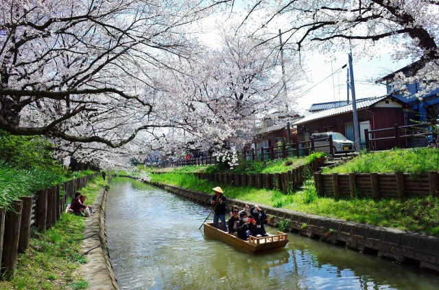 2019-04-03 平成最後の桜散策 117