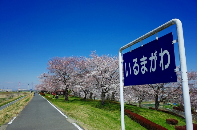 2019-04-04 川越水上公園の桜 101
